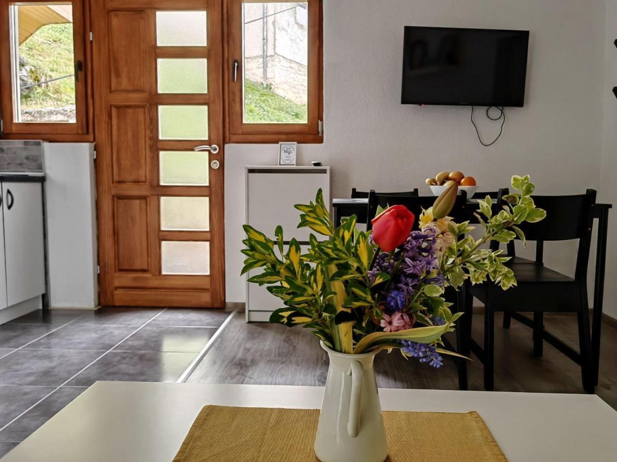 Ive Andrica 3 Leilighet Višegrad Eksteriør bilde